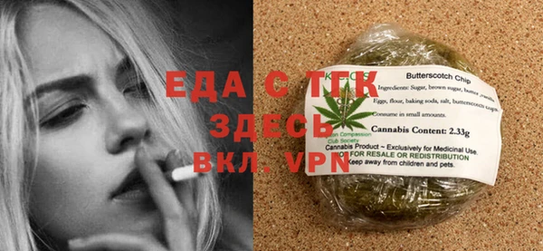 хмурый Пересвет
