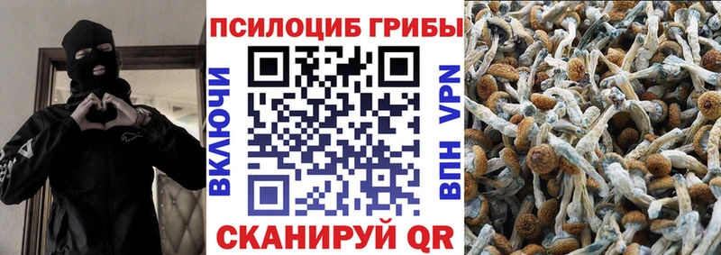 Галлюциногенные грибы прущие грибы  Сатка 